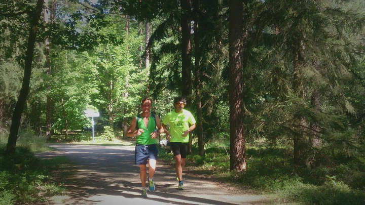 testlauf wald