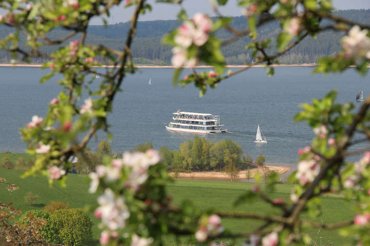 brombachsee sommer web