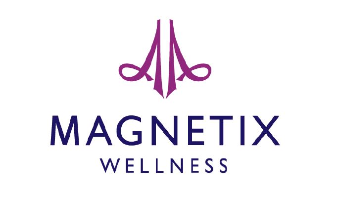 magnetix logo
