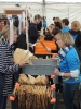 Seenlandmartahon 2013 Helfer_39