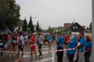 Seenlandmartahon 2013 Helfer_70