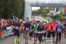 Seenlandmartahon 2013_43