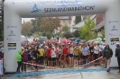 Seenlandmartahon 2014 Helfer_33