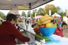 Seenlandmartahon 2014 Helfer_62