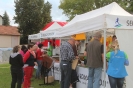 Seenlandmartahon 2014 Helfer_76
