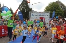 Seenlandmartahon 2014 Helfer_99