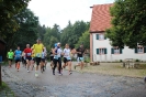 Seenlandmartahon 2014_15