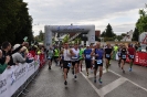 Seenlandmartahon 2014_160