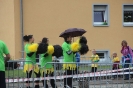 Seenlandmartahon 2014_39