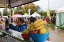 Seenlandmartahon 2014_75