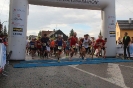 Seenlandmartahon 2014_7