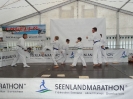 Seenlandmarathon 2015 - Samstag_37