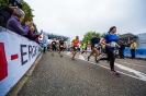 Seenlandmarathon 2015 - Sonntag_11