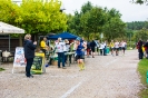 Seenlandmarathon 2015 - Sonntag_16