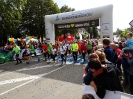 Seenlandmarathon 2015 - Sonntag_17