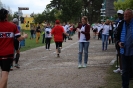 Seenlandmarathon 2015 - Sonntag_26