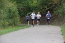 Seenlandmarathon 2015 - Sonntag_33