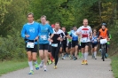 Seenlandmarathon 2015 - Sonntag_35