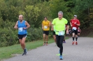 Seenlandmarathon 2015 - Sonntag_36