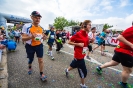 Seenlandmarathon 2015 - Sonntag_37