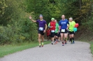 Seenlandmarathon 2015 - Sonntag_39