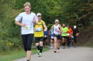 Seenlandmarathon 2015 - Sonntag_41