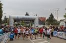 Seenlandmarathon 2015 - Sonntag_58