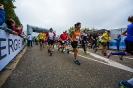 Seenlandmarathon 2015 - Sonntag_5