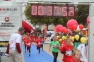 Seenlandmarathon 2015 - Sonntag_65