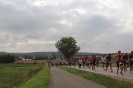Seenlandmarathon 2015 - Sonntag_83