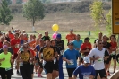 Seenlandmarathon 2015 - Sonntag_84