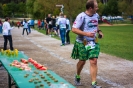 Seenlandmarathon 2015 - Sonntag_98