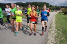 Die Helfer des Seenlandmarathon 2015_11