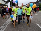 Die Helfer des Seenlandmarathon 2015_19