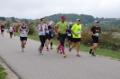 Die Helfer des Seenlandmarathon 2015_1