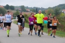 Die Helfer des Seenlandmarathon 2015_2