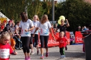 Die Helfer des Seenlandmarathon 2015_46
