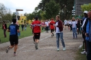 Die Helfer des Seenlandmarathon 2015_63