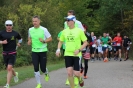 Die Helfer des Seenlandmarathon 2015_71