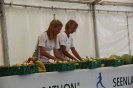 Die Helfer des Seenlandmarathon 2015_81