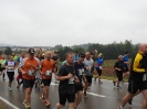 Seenlandmarathon 2017 - Sonntag_62