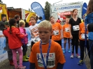 Seenlandmarathon 2017 - Sonntag_6