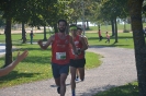 Seenlandmarathon 2017 - Die Läufe