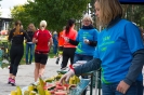 Seenlandmarathon 2017