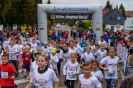 Seenlandmarathon 2018
