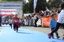 Seenlandmarathon 2018