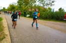 Seenlandmarathon 2018