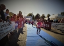SLM 2019