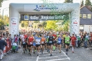 SLM 2019