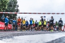 Seenlandmarathon 2022 - Die Läufe